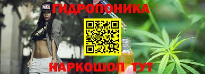 молекула духа Гагарин